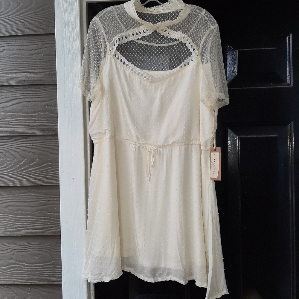 Ivory Chiffon Dress size L